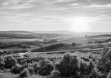 Northumberland National Park - Black and White