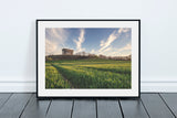 Penshaw Monument - Wheat Field - Sunderland