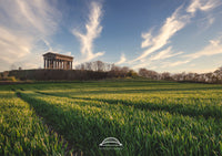 Penshaw Monument - Wheat Field - Sunderland