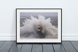 Seaham Pier Waves Print, Storm Babet, Seaham - County Durham