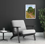 Sycamore Gap Tree - Hadrian's Wall - Stone Footpath - Northumberland