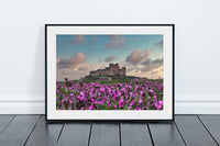 Bamburgh Castle Flower Field Print