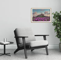 Bamburgh Castle Flower Field Print