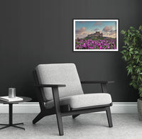 Bamburgh Castle Flower Field Print