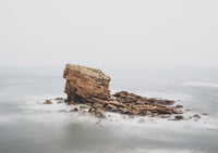 Charlie’s Garden in Seaton Sluice, North Tyneside surrounded by fog - North East Captures