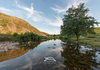 River Breamish reflecting the Ingram Valley Print, Northumberland.