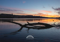 River Wear - Driftwood Sunset - Sunderland