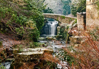 Jesmond Dene Waterfall and arched bridge in Newcastle Upon Tyne. - North East Captures