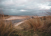 Alnmouth River Aln Print