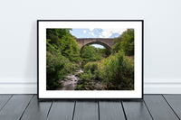 Causey Arch Print